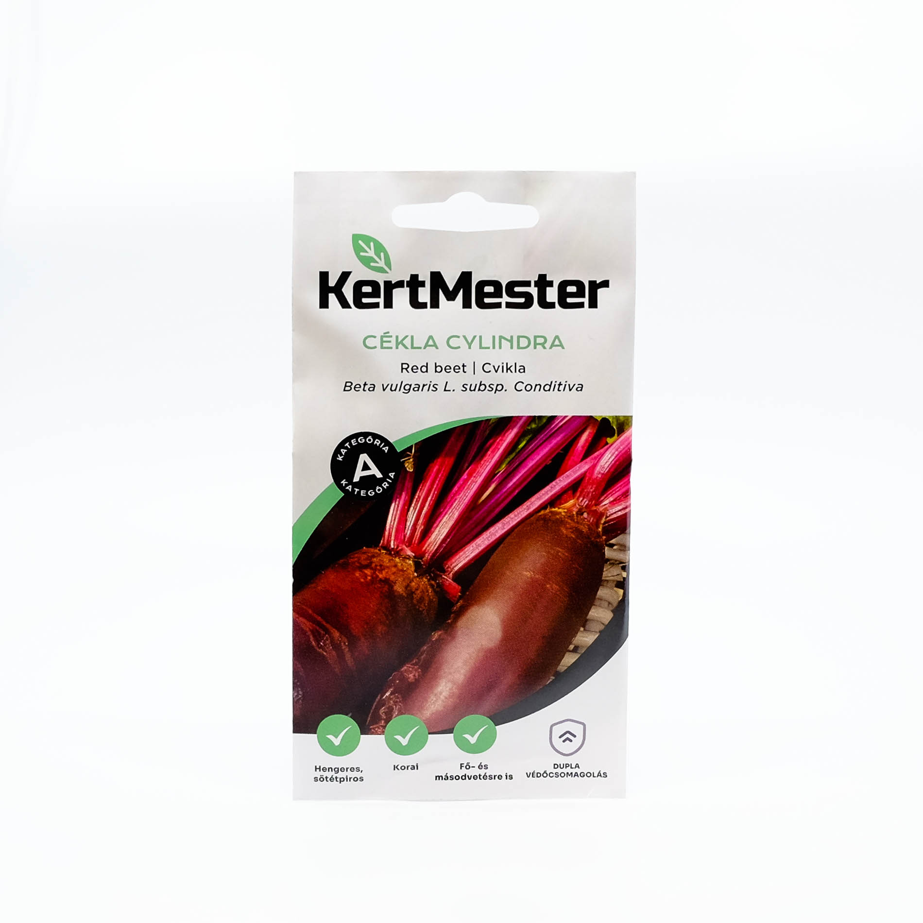 Kertmester Cékla Cylindra